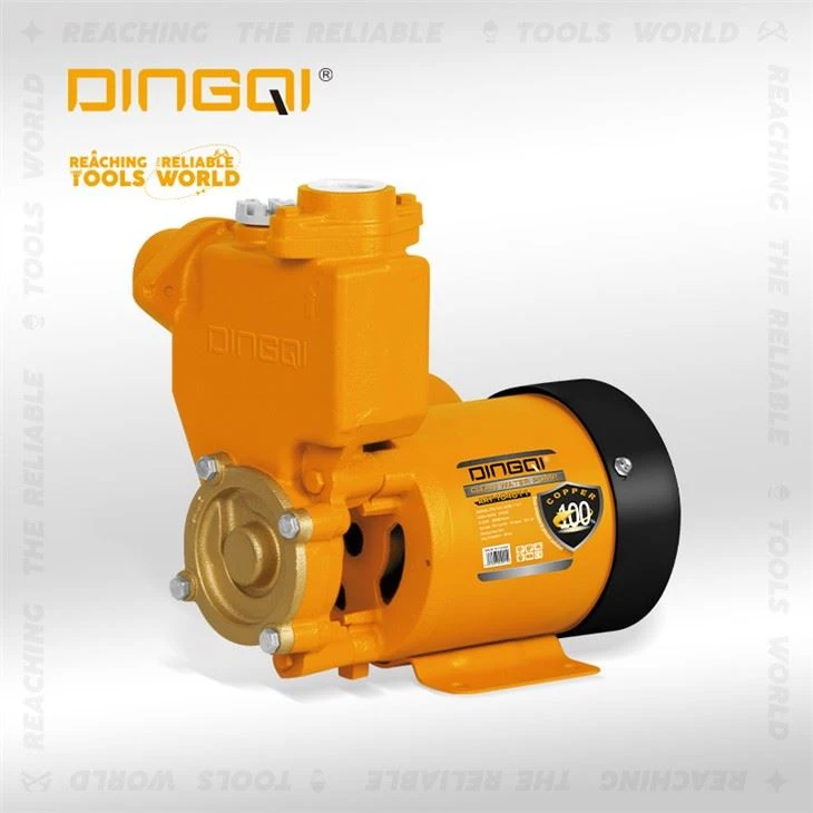 Bomba elèctrica d'aigua neta de 370W 0,5 HP